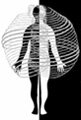 Member of the American Polarity Therapy Association