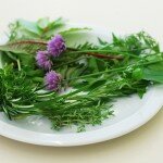 herbs