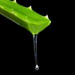 Pure Aloe Vera, 15% Off, Click image to View or Buy